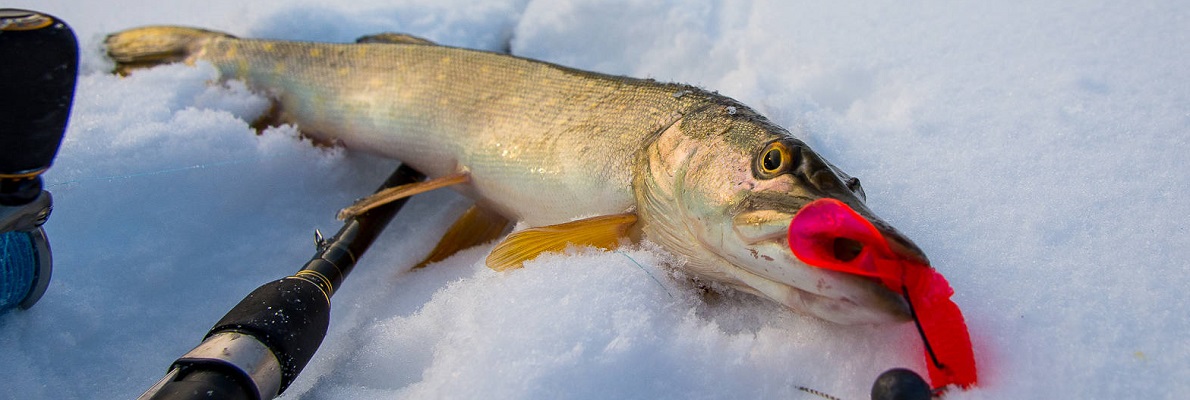 Как сделать удочку для зимней рыбалки - Ответы для новичков