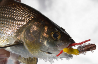 Зимняя рыбалка на хариуса