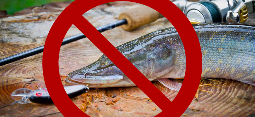 есть ли запрет на рыбалку в апреле